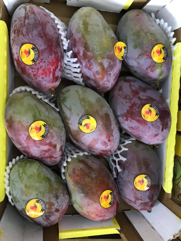 41534354_723906421278744_3510643239105331200_n