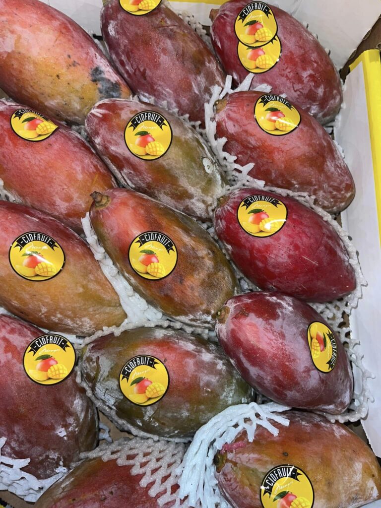 454210877_409621078795273_3092091778343250221_n